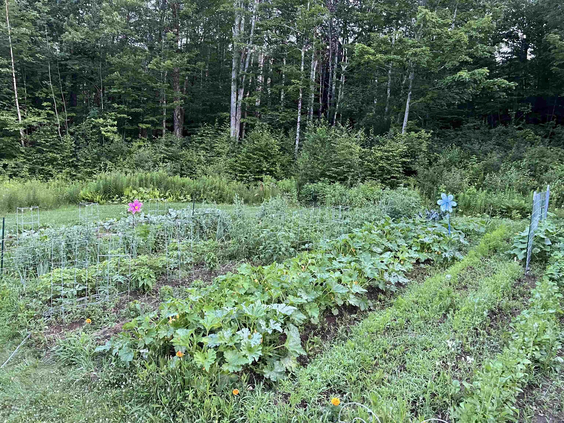 200 Old Peterborough Road Dublin NH 03444