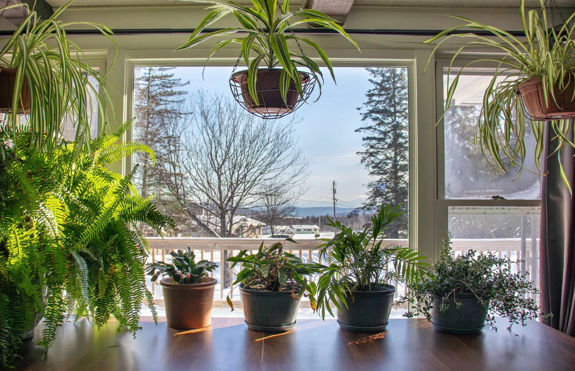 239 Calkins Camp Road Danville VT 05828