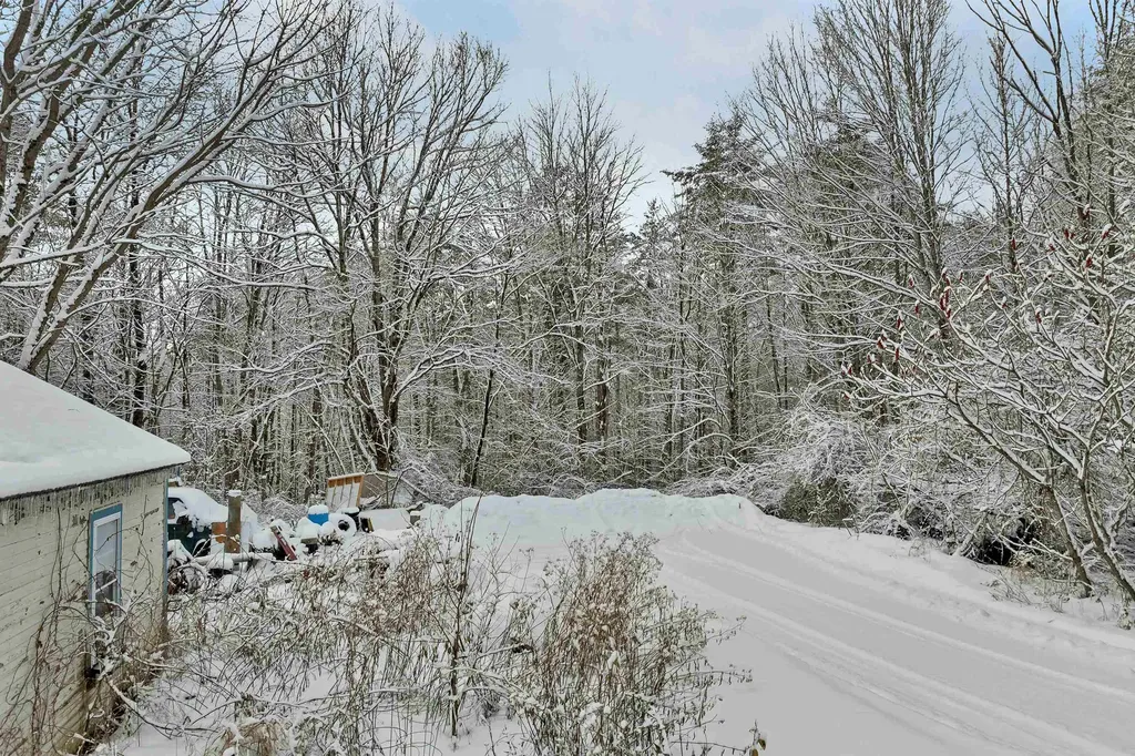 11 White Plains Road Webster NH 03303