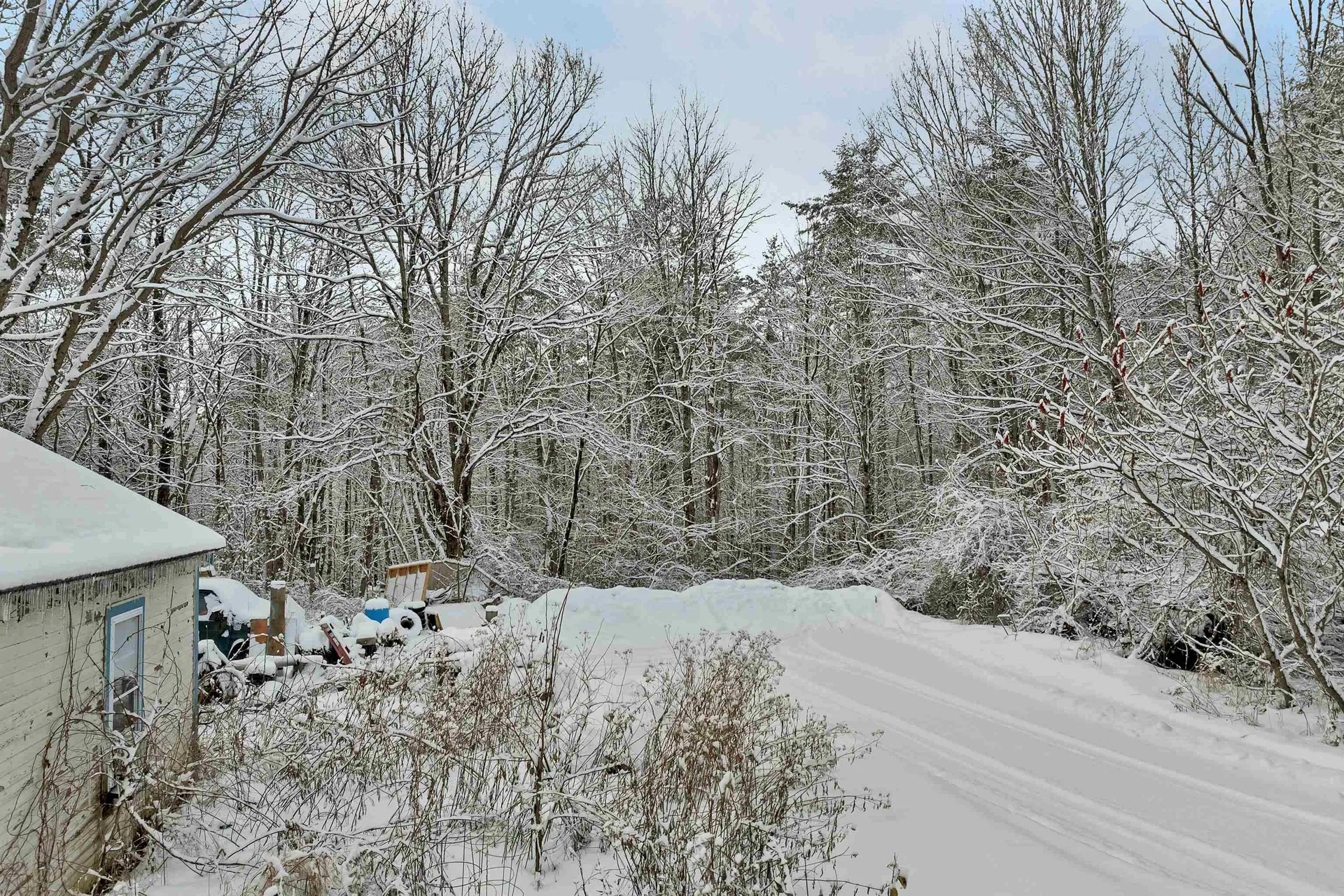 11 White Plains Road Webster NH 03303