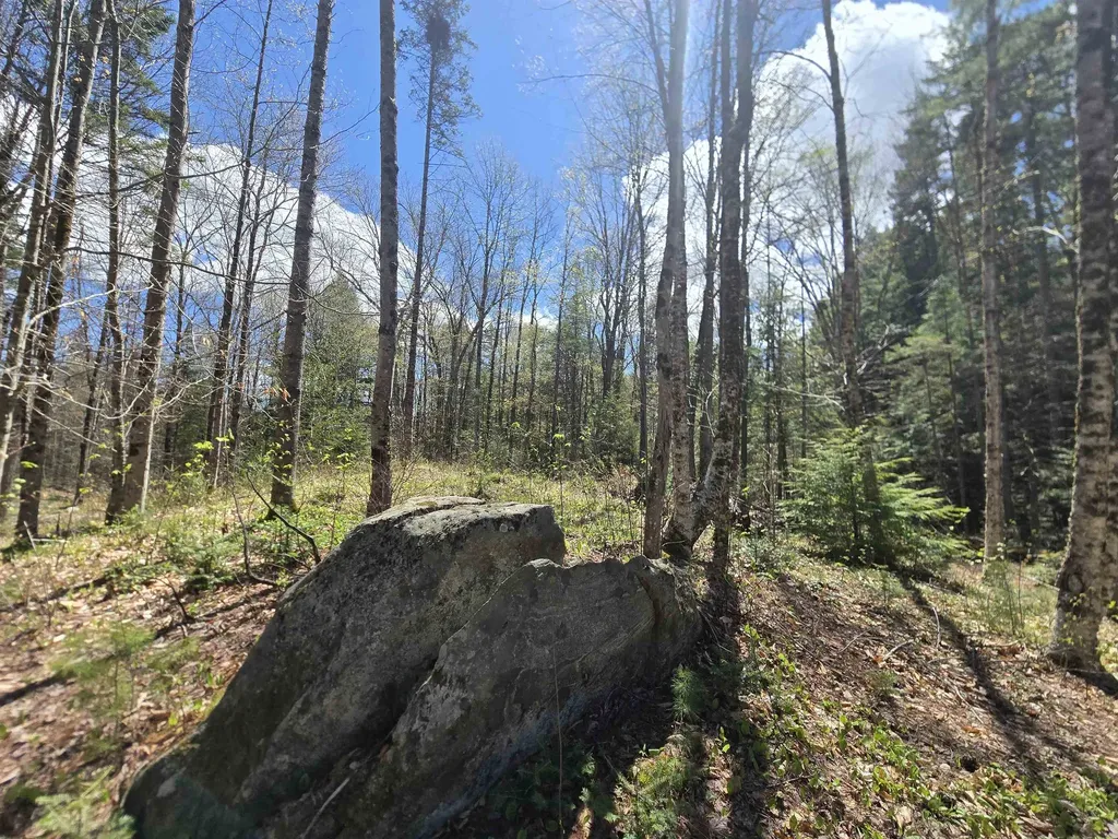 3148 Route 11 Londonderry VT 05148
