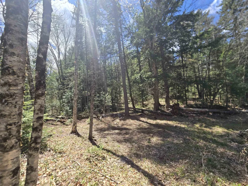 3148 Route 11 Londonderry VT 05148