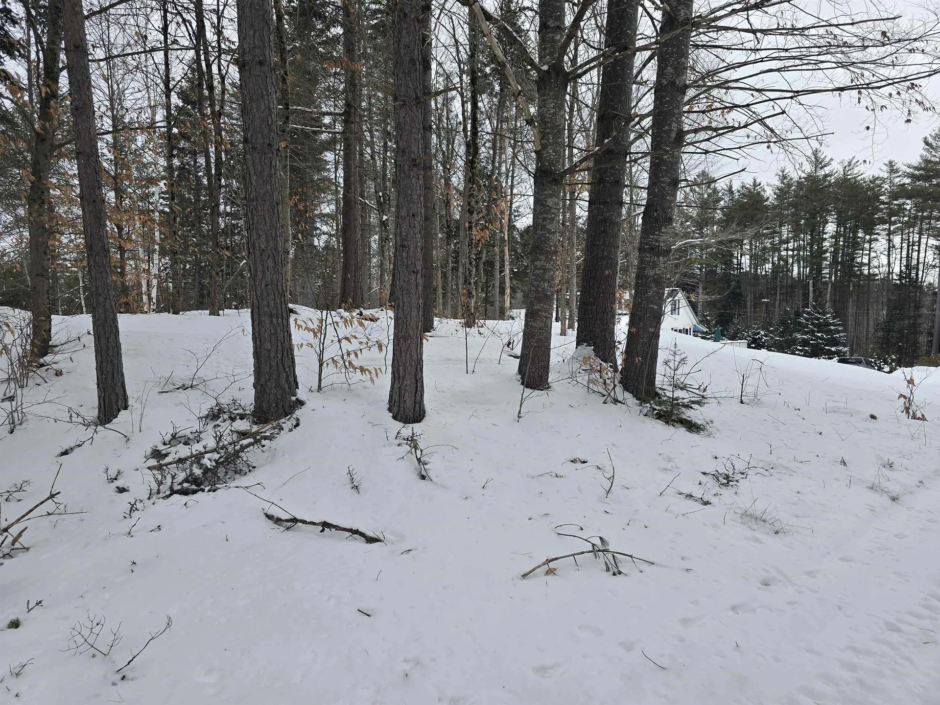 3148 Route 11 Londonderry VT 05148