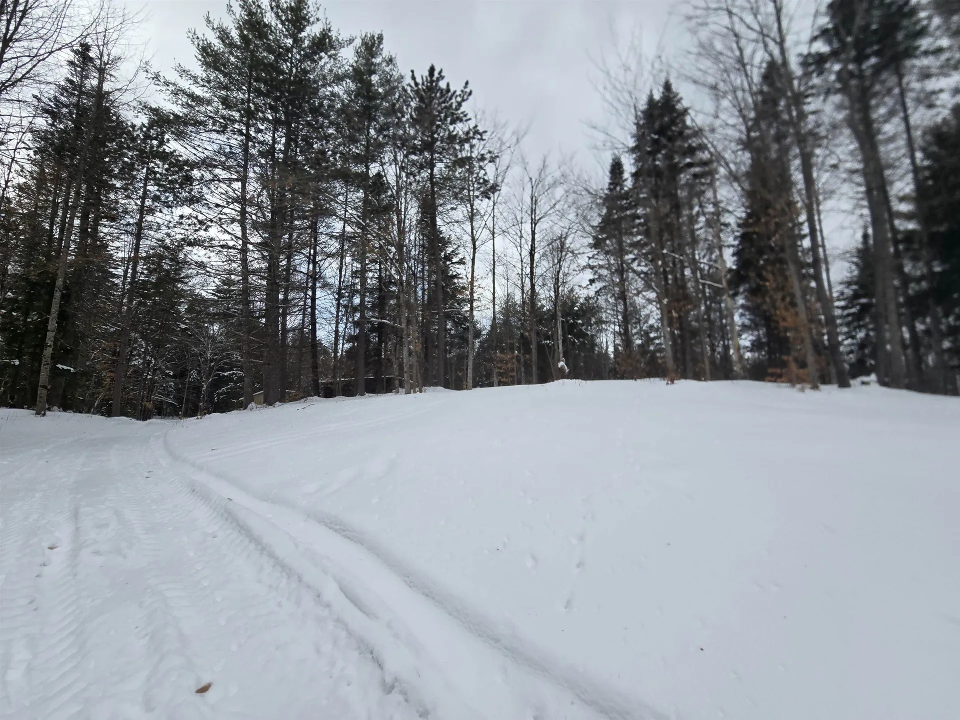 3148 Route 11 Londonderry VT 05148