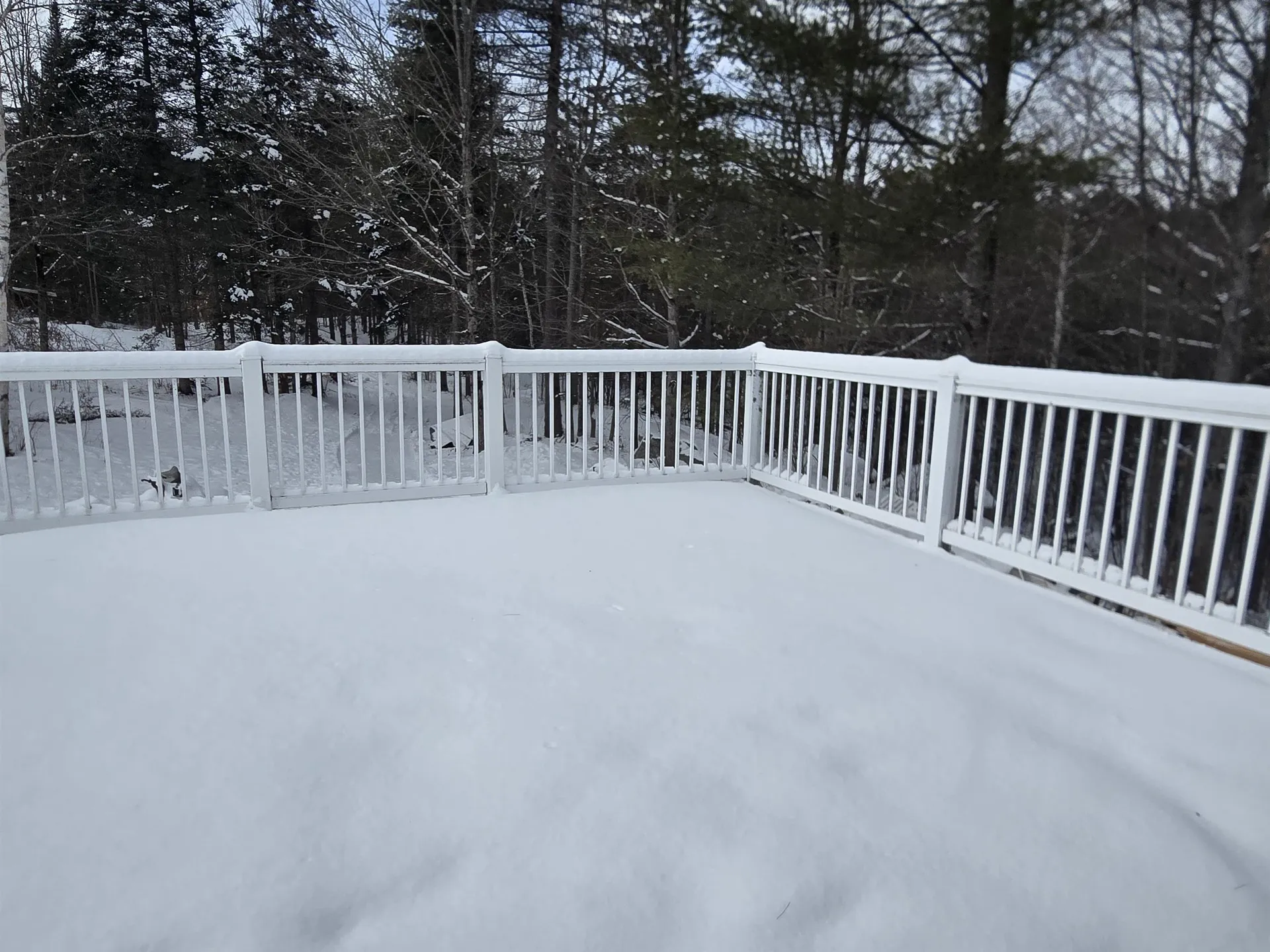 3148 Route 11 Londonderry VT 05148