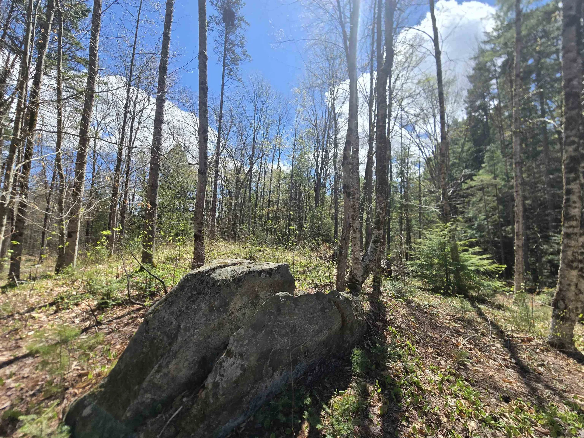 3148 Route 11 Londonderry VT 05148