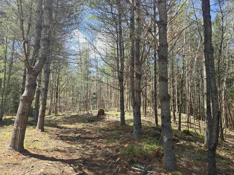 3148 Route 11 Londonderry VT 05148