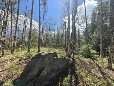 3148 Route 11 Londonderry VT 05148