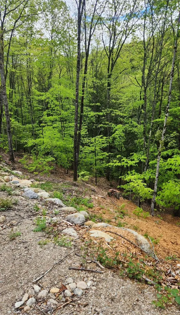 Moulton Road Freedom NH 03836