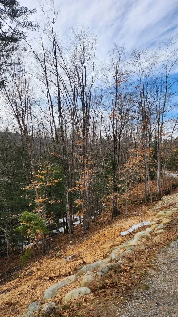 Moulton Road Freedom NH 03836