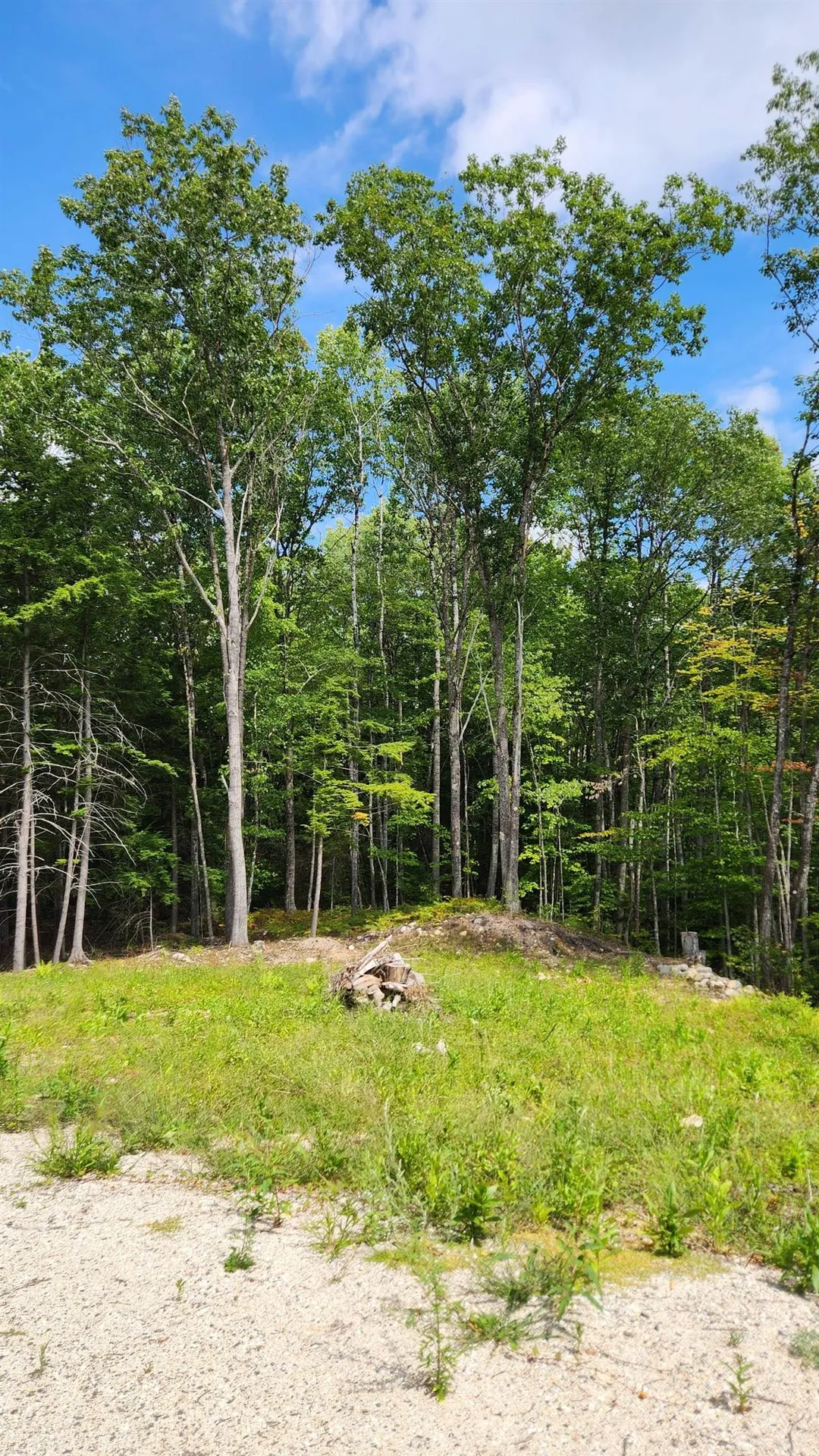 Moulton Road Freedom NH 03836