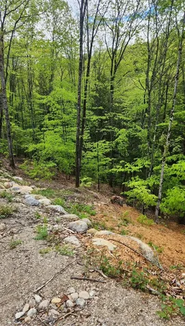 Moulton Road Freedom NH 03836