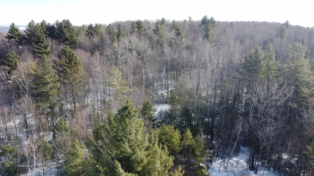 Tbd Glover Road Derby VT 05829