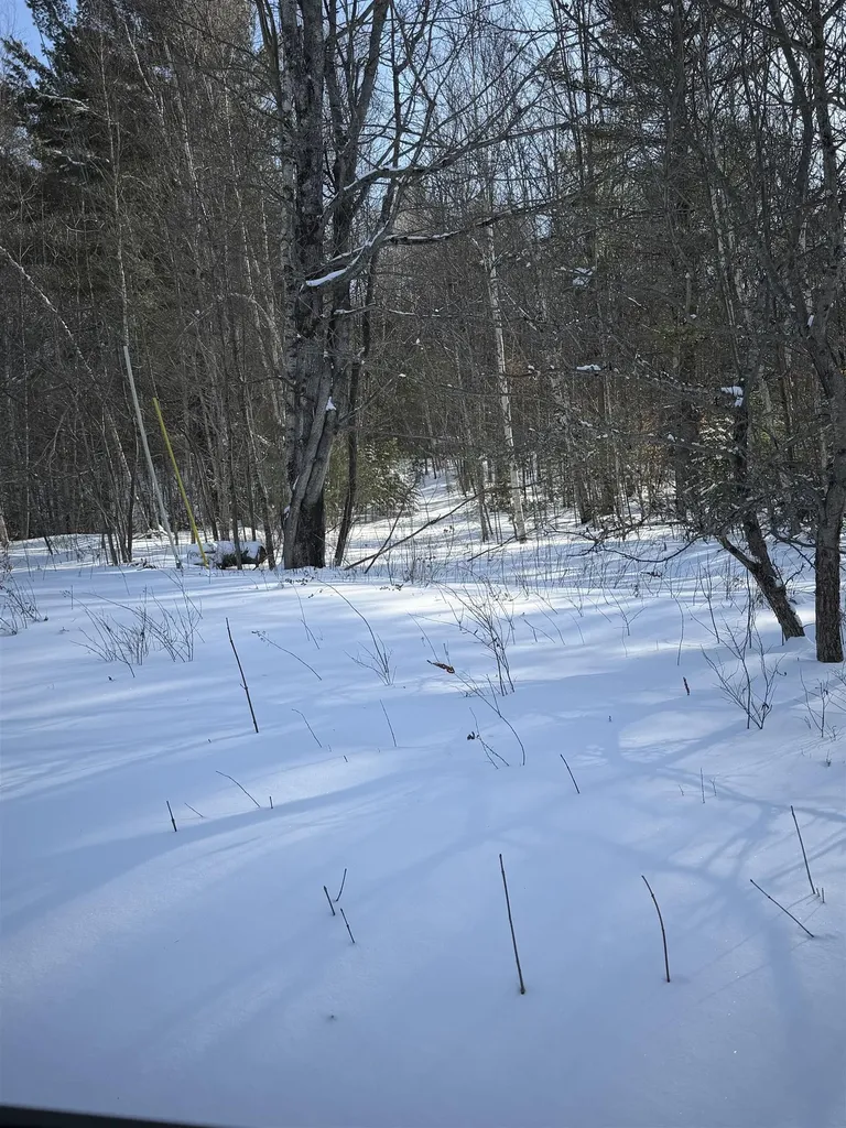 Tbd Glover Road Derby VT 05829