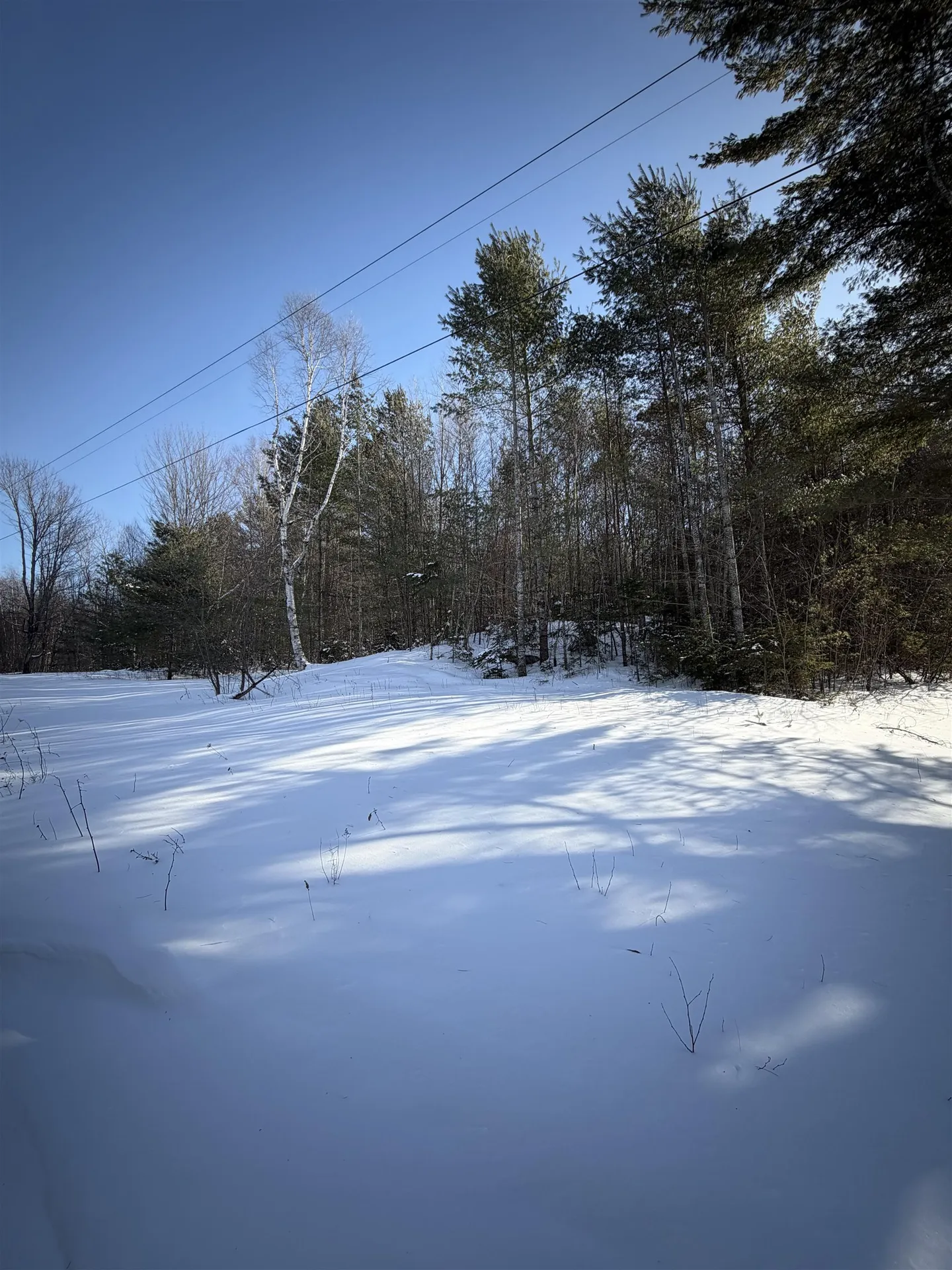 Tbd Glover Road Derby VT 05829