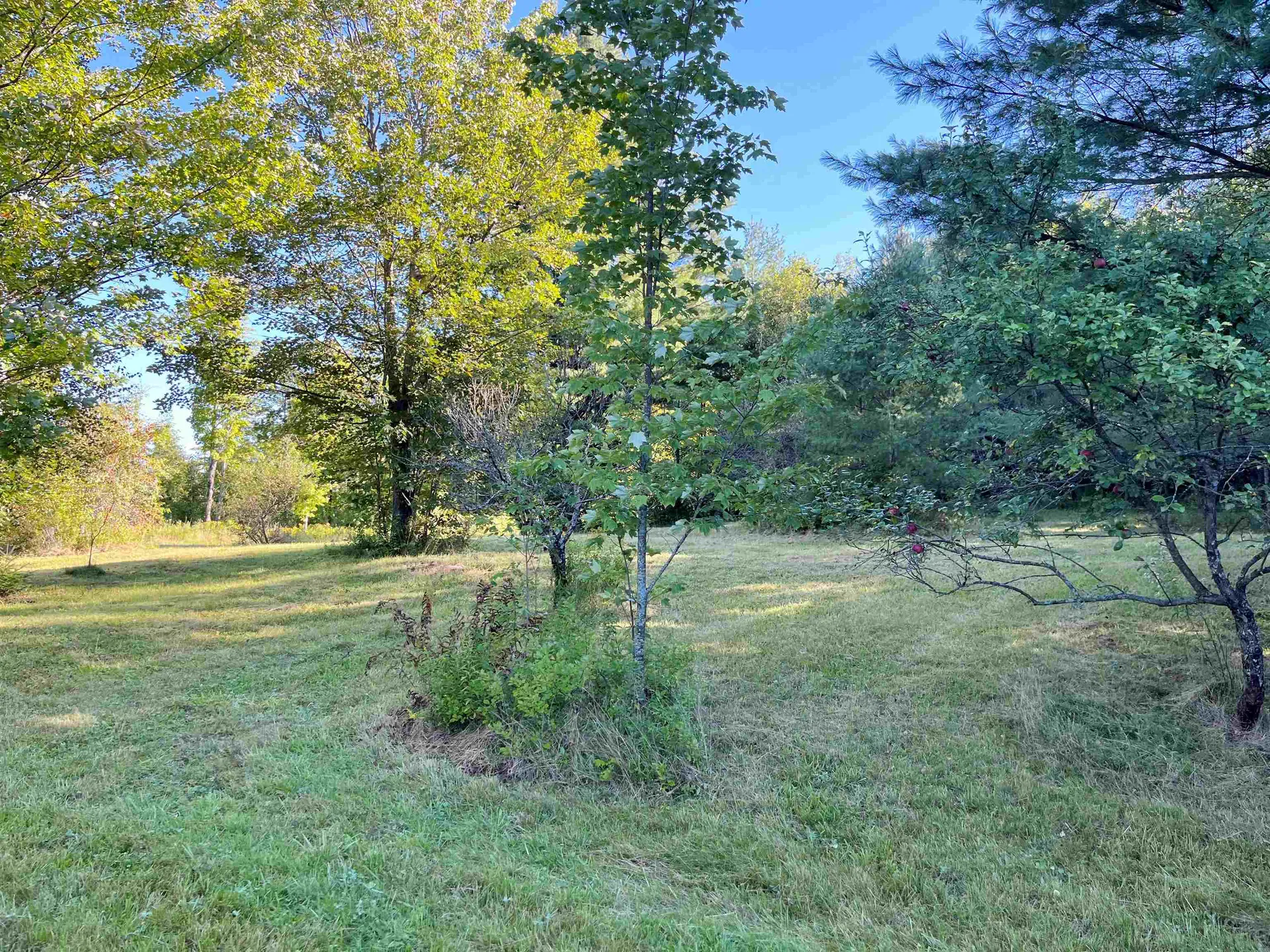 Tbd Glover Road Derby VT 05829