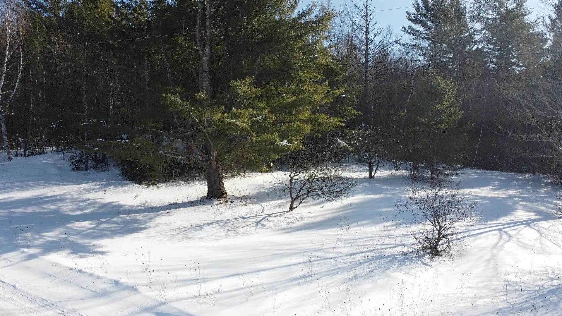 Tbd Glover Road Derby VT 05829