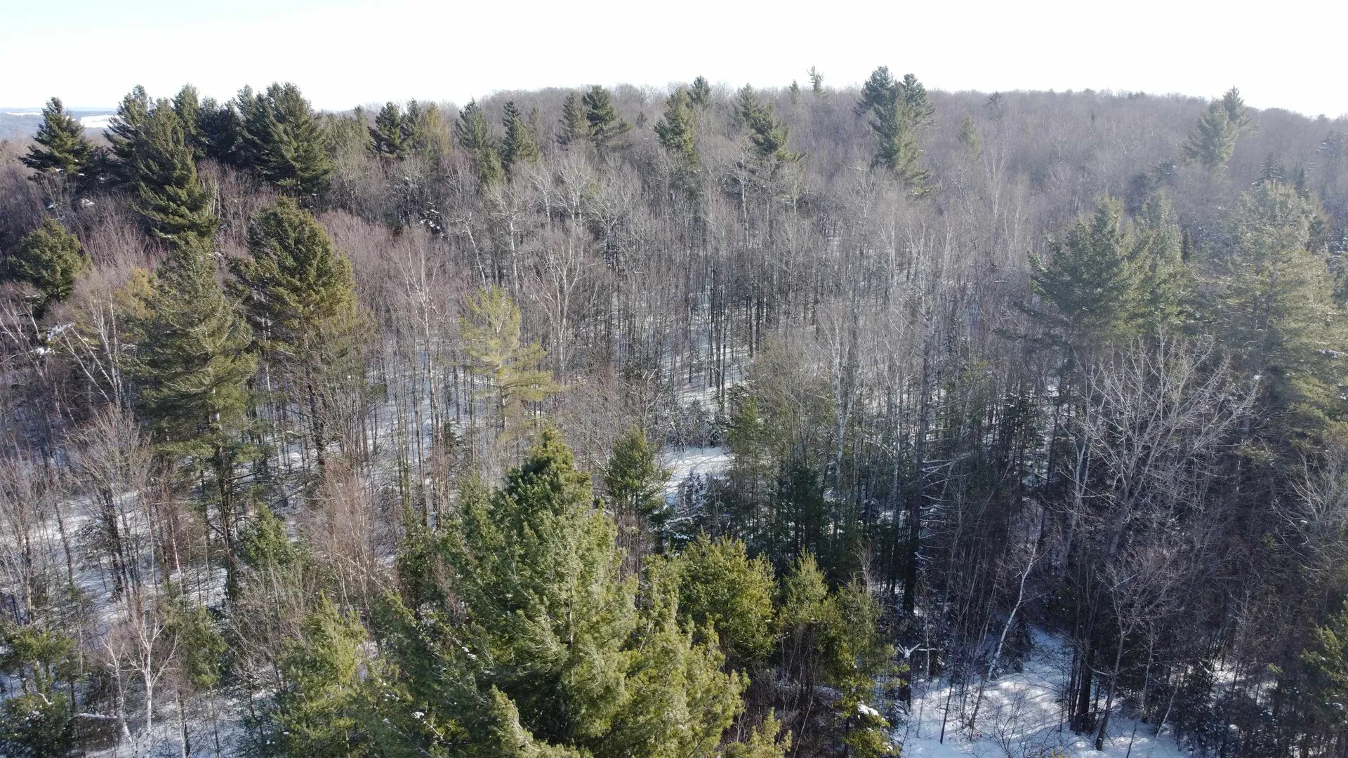 Tbd Glover Road Derby VT 05829