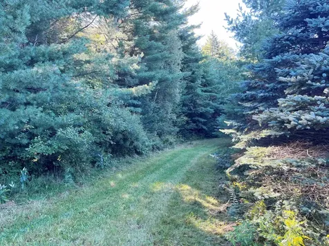 Tbd Glover Road Derby VT 05829