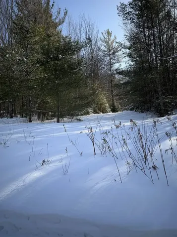 Tbd Glover Road Derby VT 05829