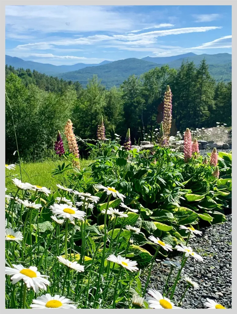 21 Quarry Road Campton NH 03223