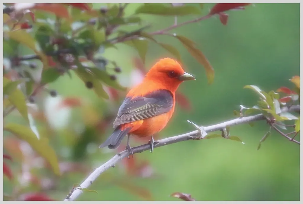 21 Quarry Road Campton NH 03223