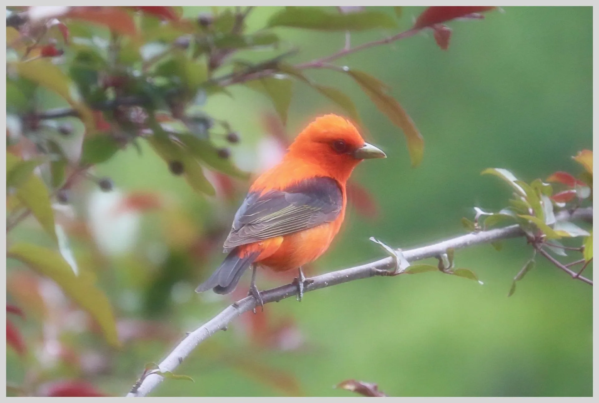 21 Quarry Road Campton NH 03223