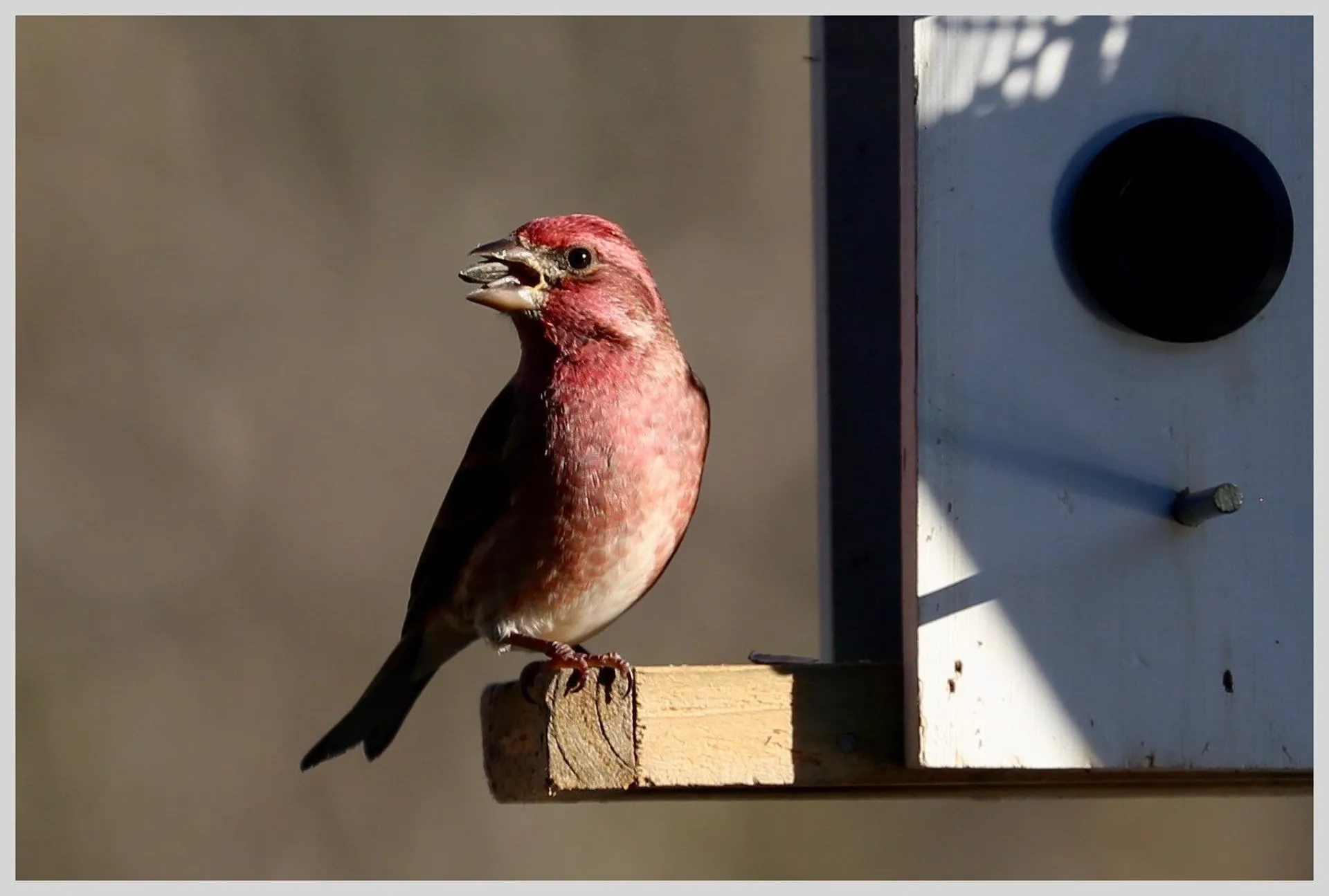 21 Quarry Road Campton NH 03223