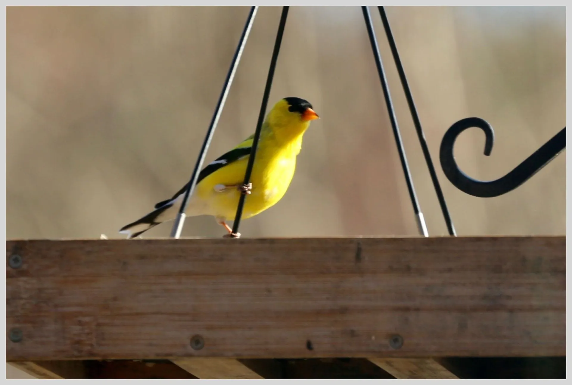 21 Quarry Road Campton NH 03223