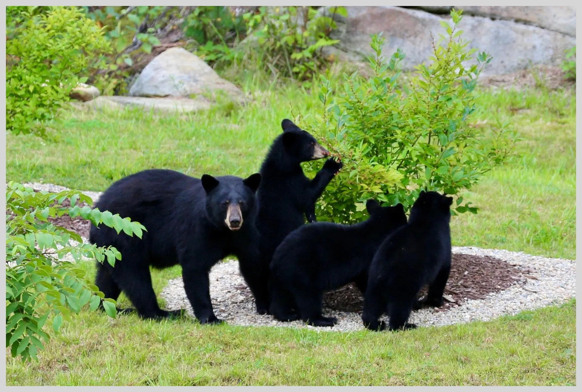 21 Quarry Road Campton NH 03223