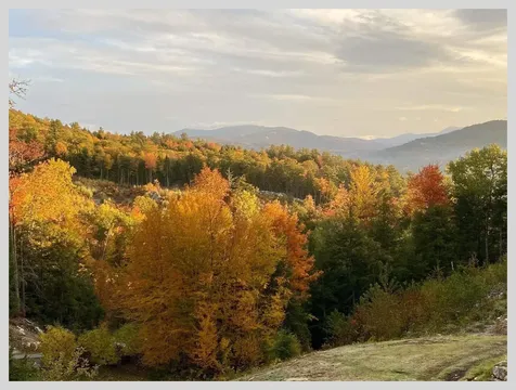 21 Quarry Road Campton NH 03223