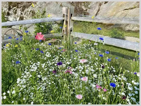 21 Quarry Road Campton NH 03223