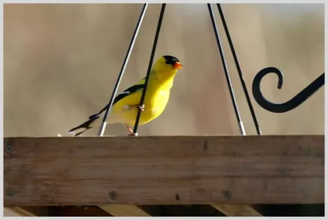 21 Quarry Road Campton NH 03223