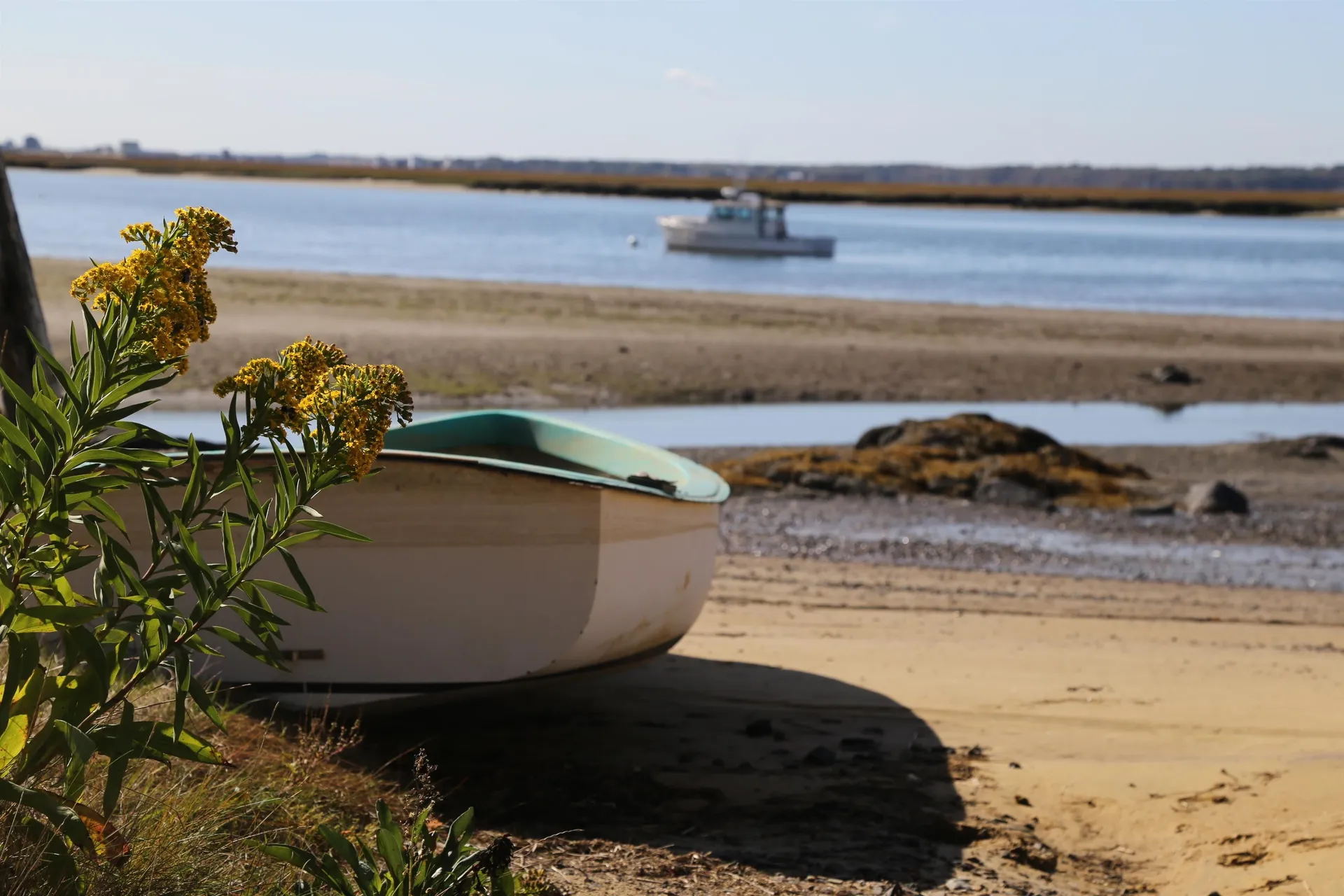 190 Island Path Hampton NH 03842