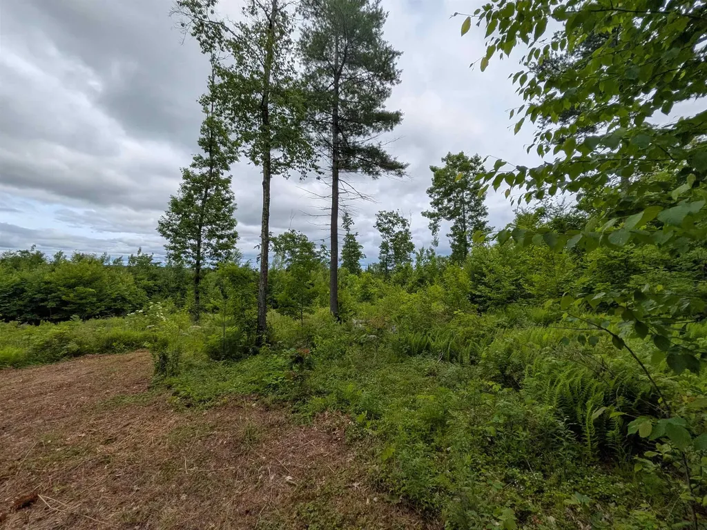 58-6-2 Duggin Road Wilton NH 03086