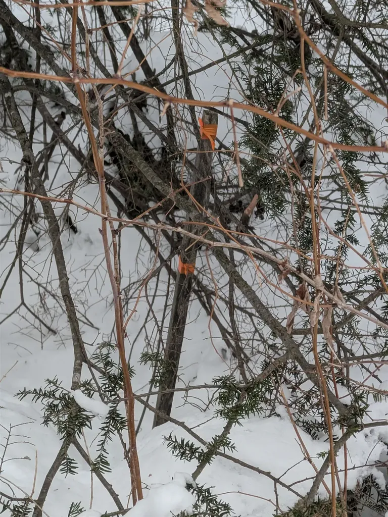 58-6-2 Duggin Road Wilton NH 03086