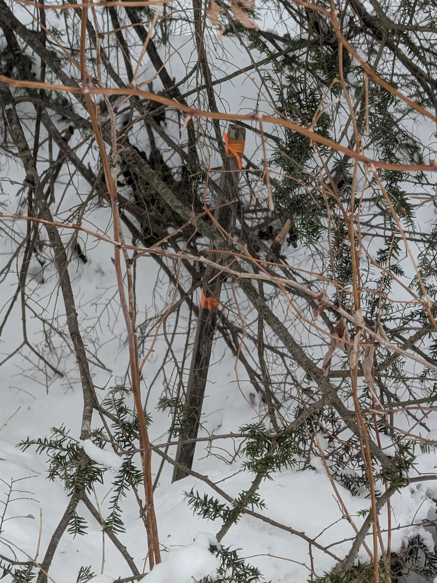 58-6-2 Duggin Road Wilton NH 03086