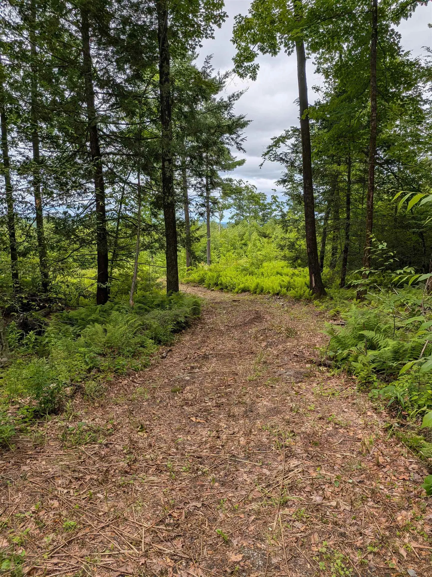 58-6-2 Duggin Road Wilton NH 03086