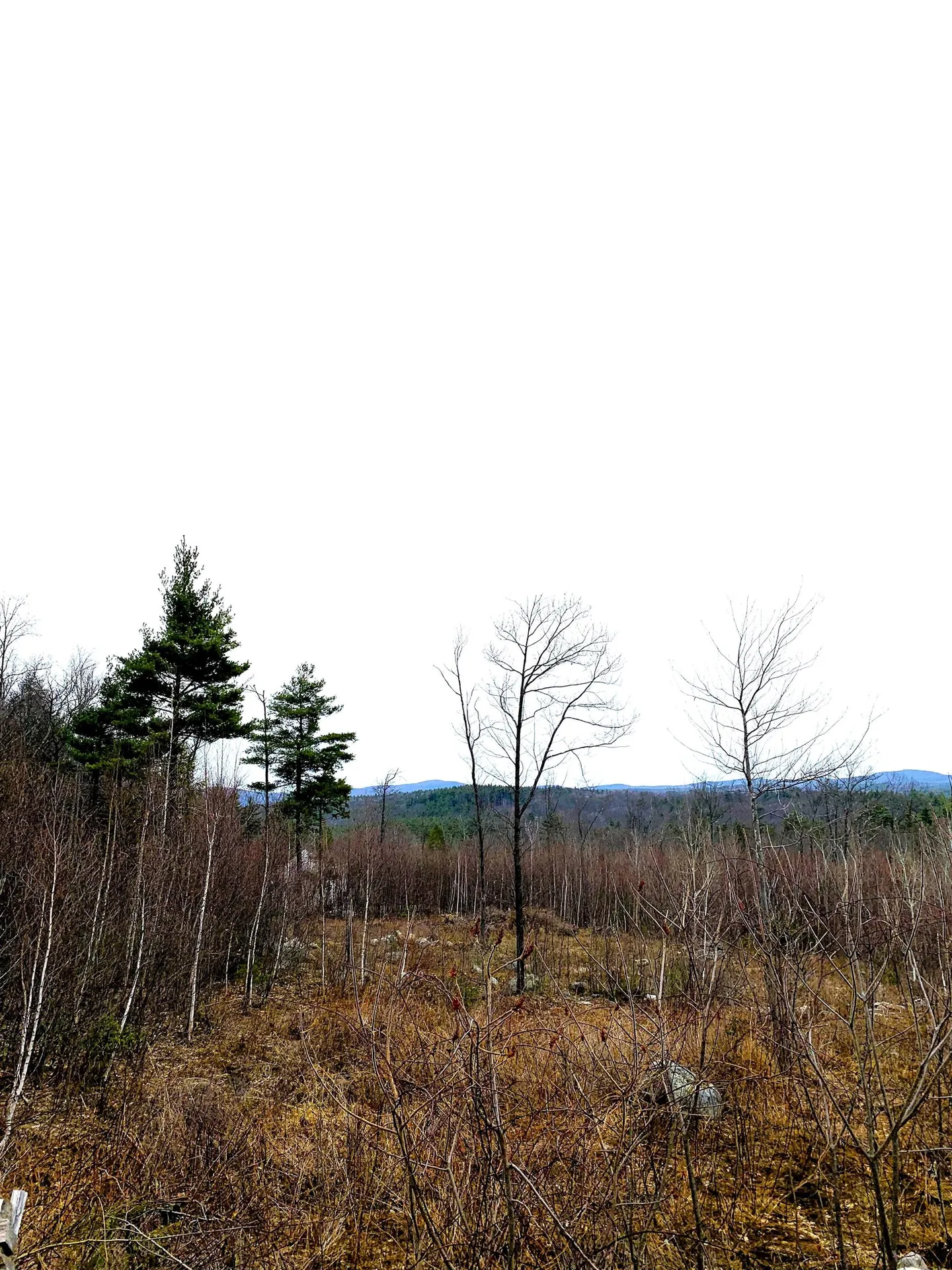 58-6-2 Duggin Road Wilton NH 03086