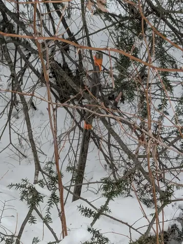 58-6-2 Duggin Road Wilton NH 03086