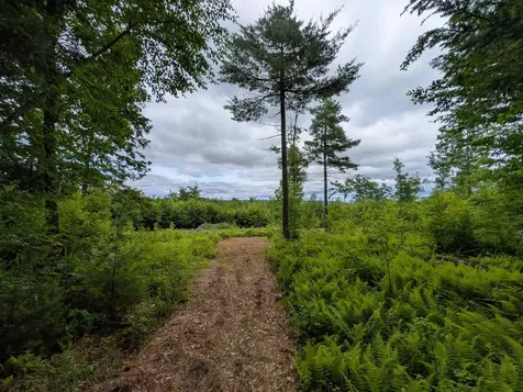58-6-2 Duggin Road Wilton NH 03086