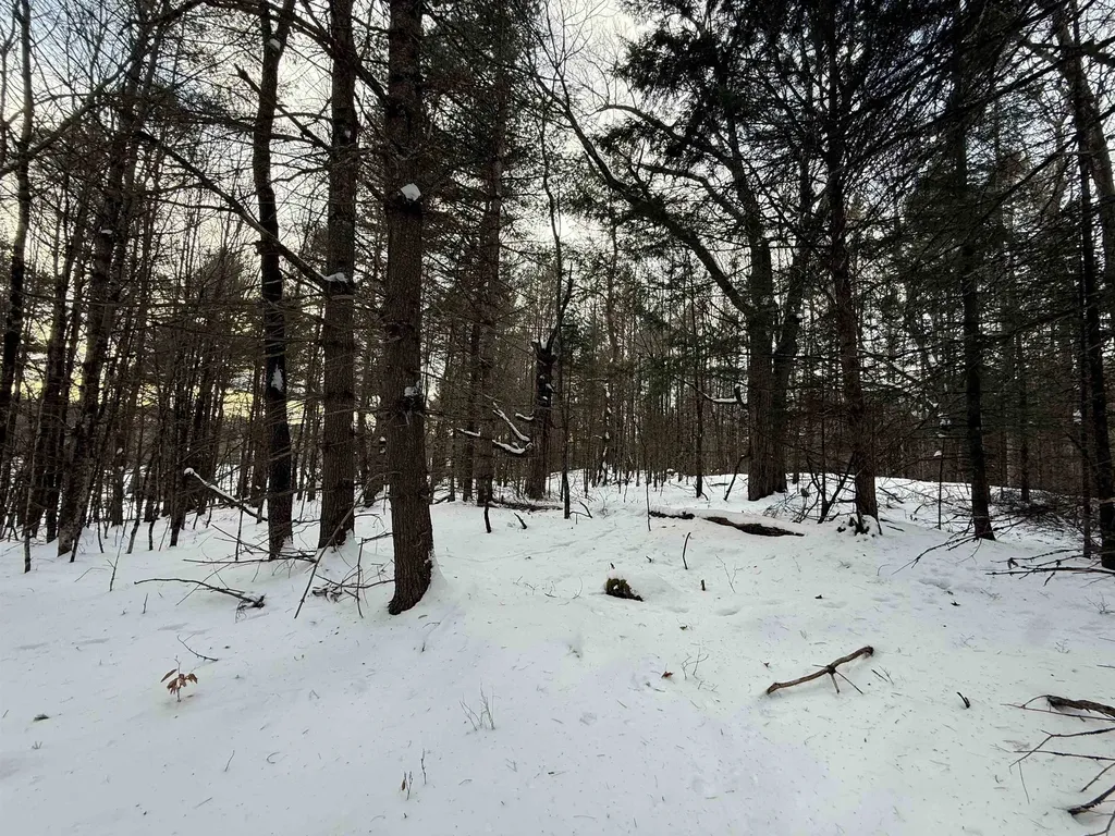 0 Darling Hill Road Lyndon VT 05849