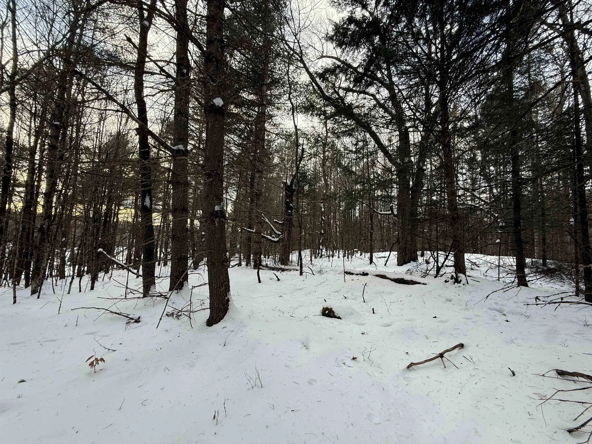 0 Darling Hill Road Lyndon VT 05849