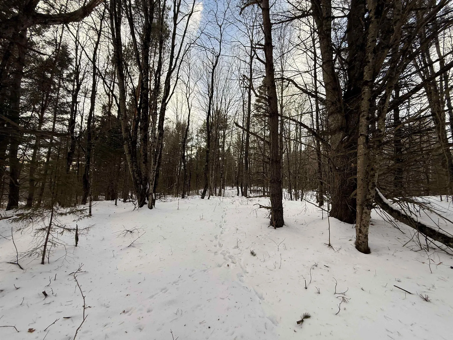 0 Darling Hill Road Lyndon VT 05849