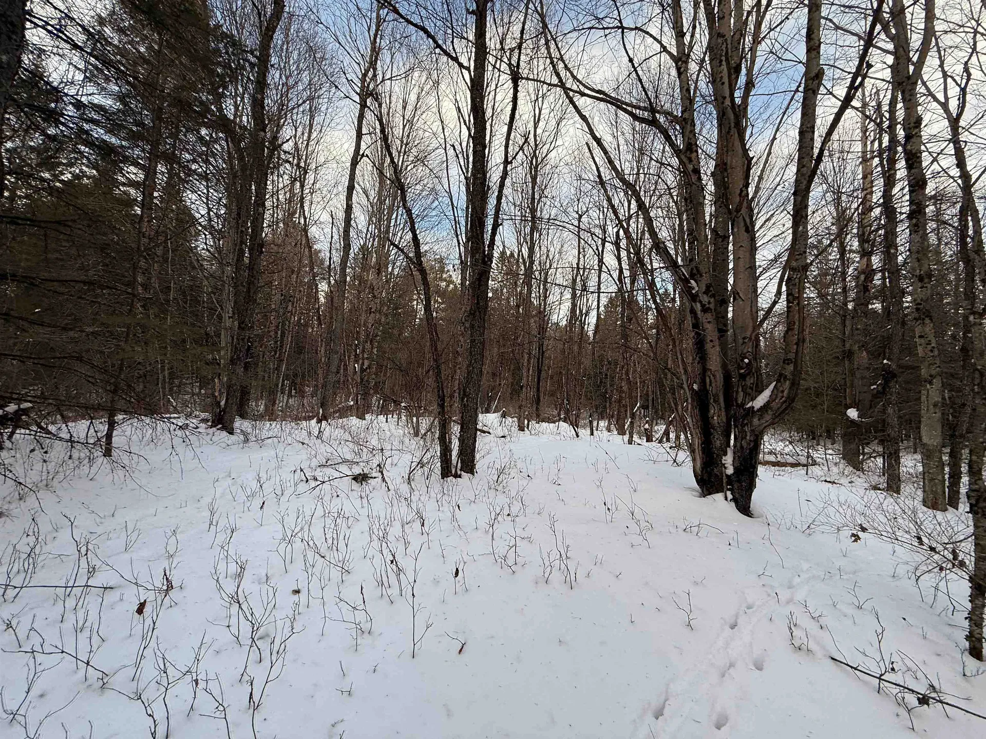 0 Darling Hill Road Lyndon VT 05849