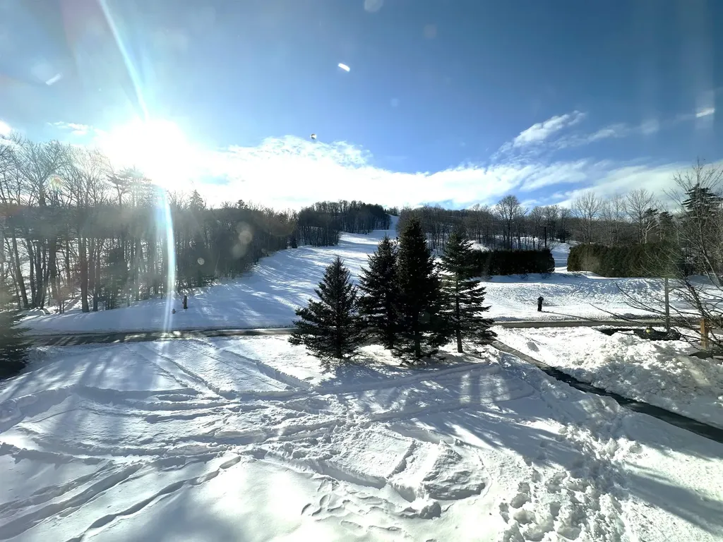 217, Qtr 2 89 Grand Summit Way Dover VT 05356