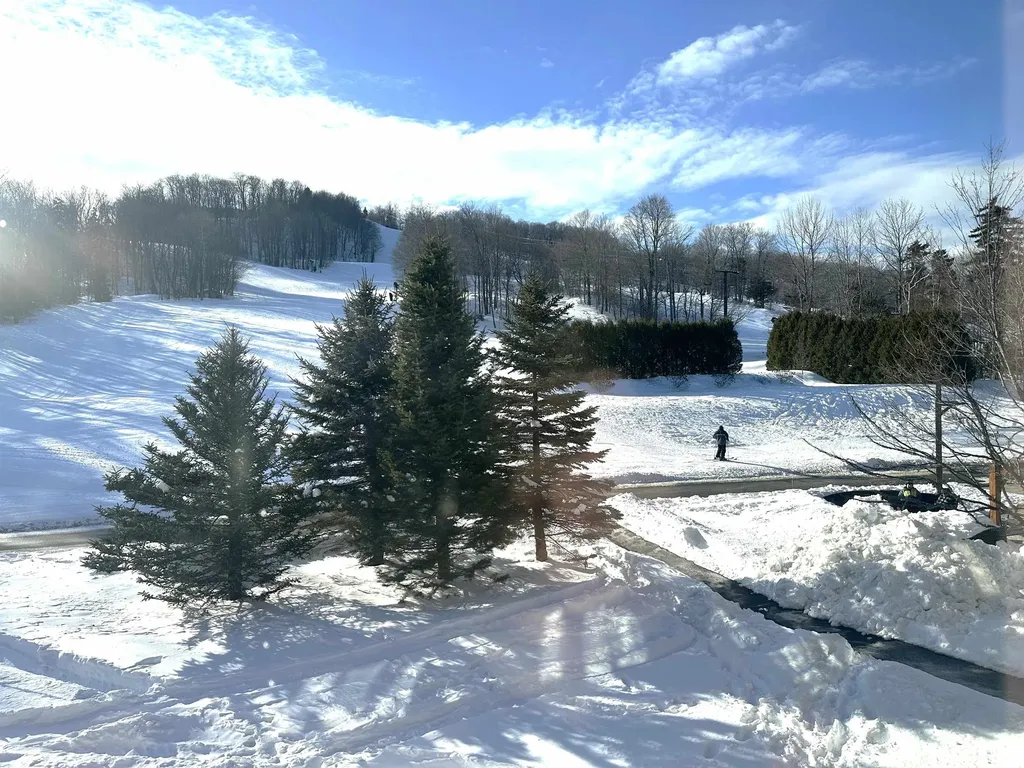 217, Qtr 2 89 Grand Summit Way Dover VT 05356