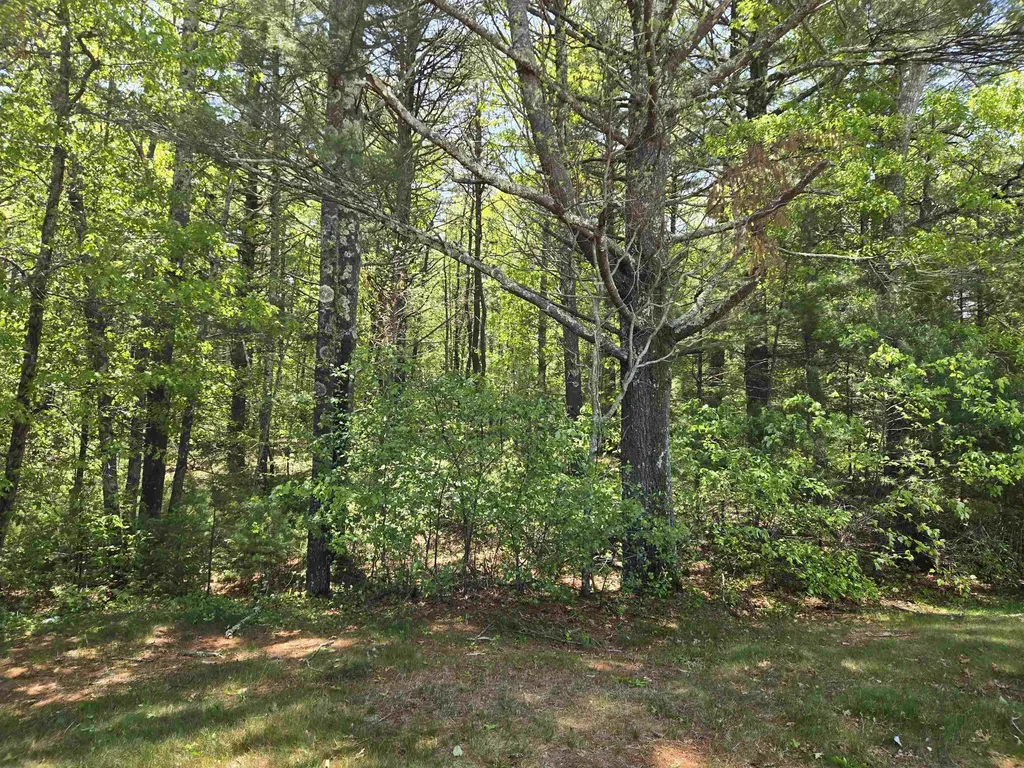 10 Issax Fox Road Campton NH 03223