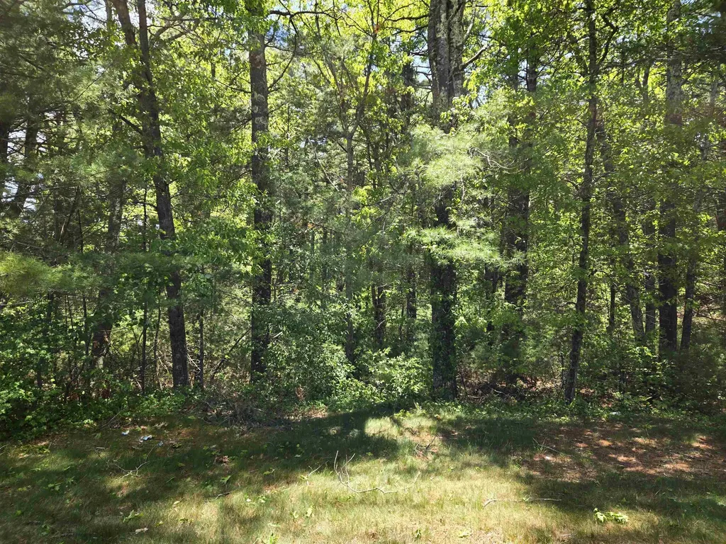10 Issax Fox Road Campton NH 03223