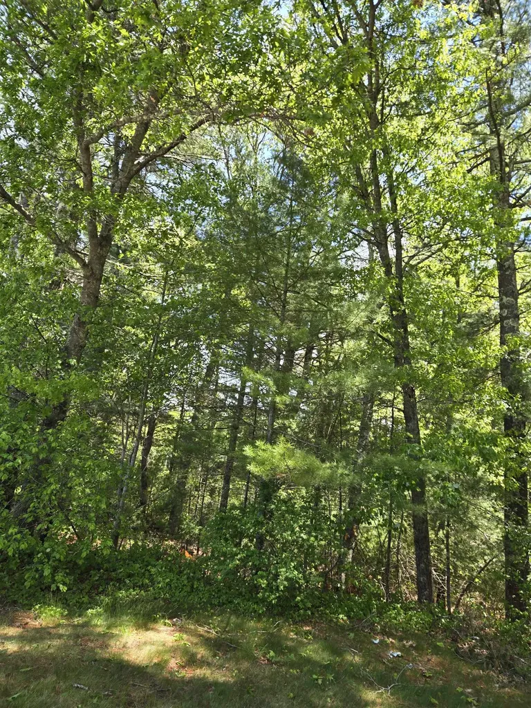 10 Issax Fox Road Campton NH 03223